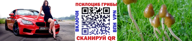кракен ССЫЛКА  где можно купить наркотик  Симферополь  Псилоцибиновые грибы Psilocybine cubensis 